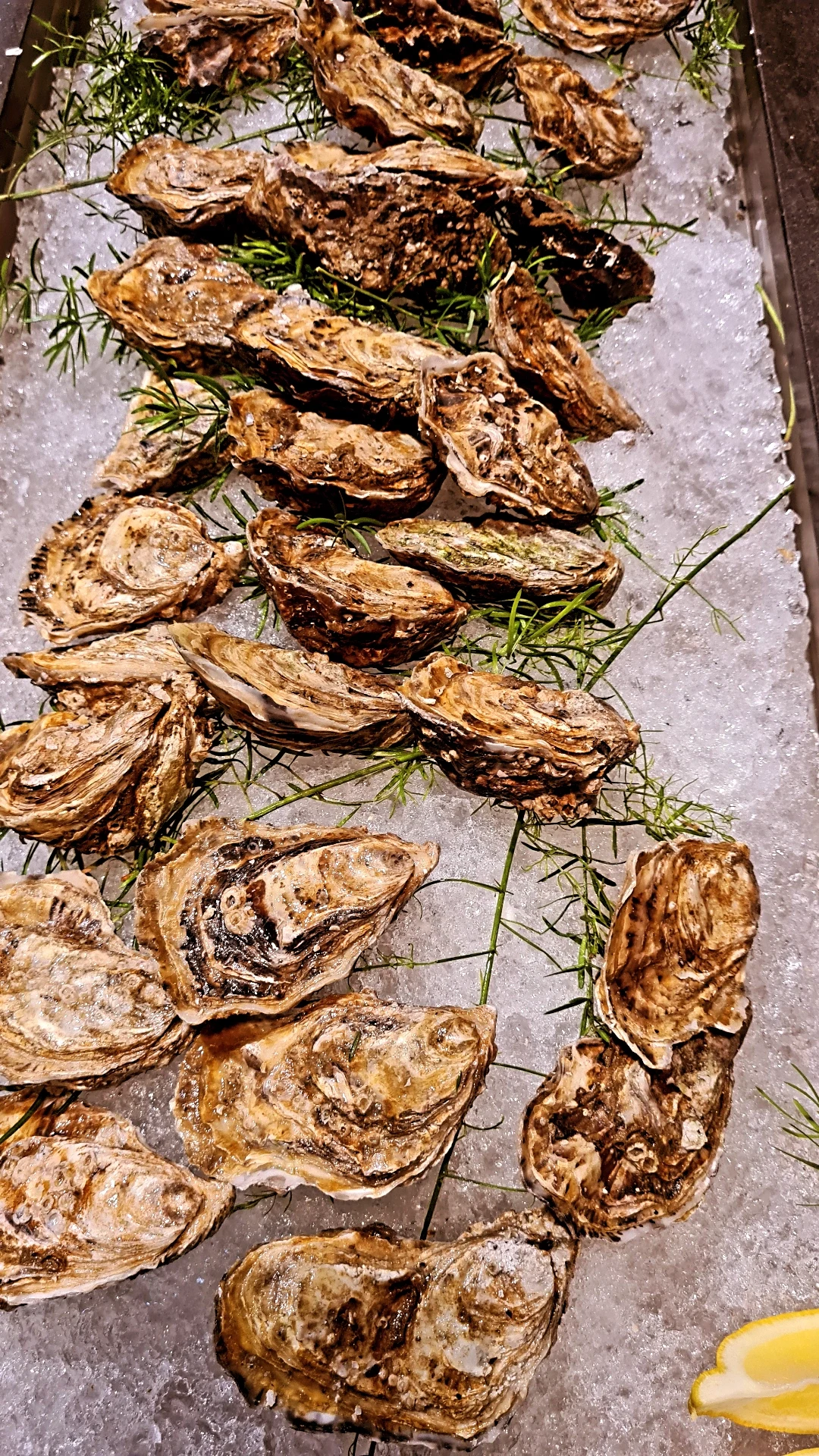 Plateau de sushi frais Porto Faros - Porto Faros 29